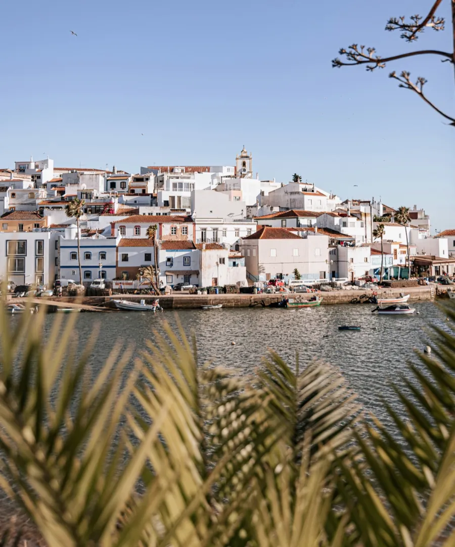 Ferragudo seen across the river, framed by palm leaves.